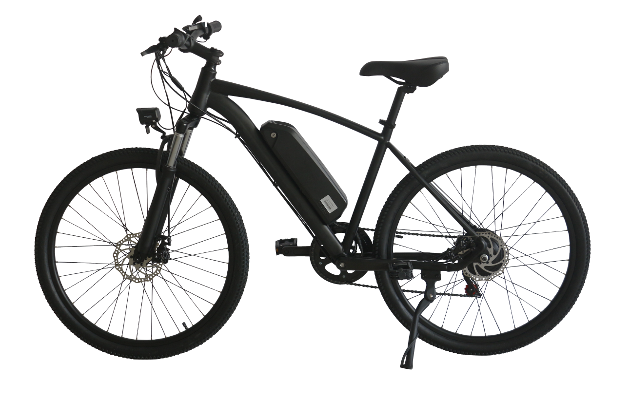 Multi-purpose City ebike 