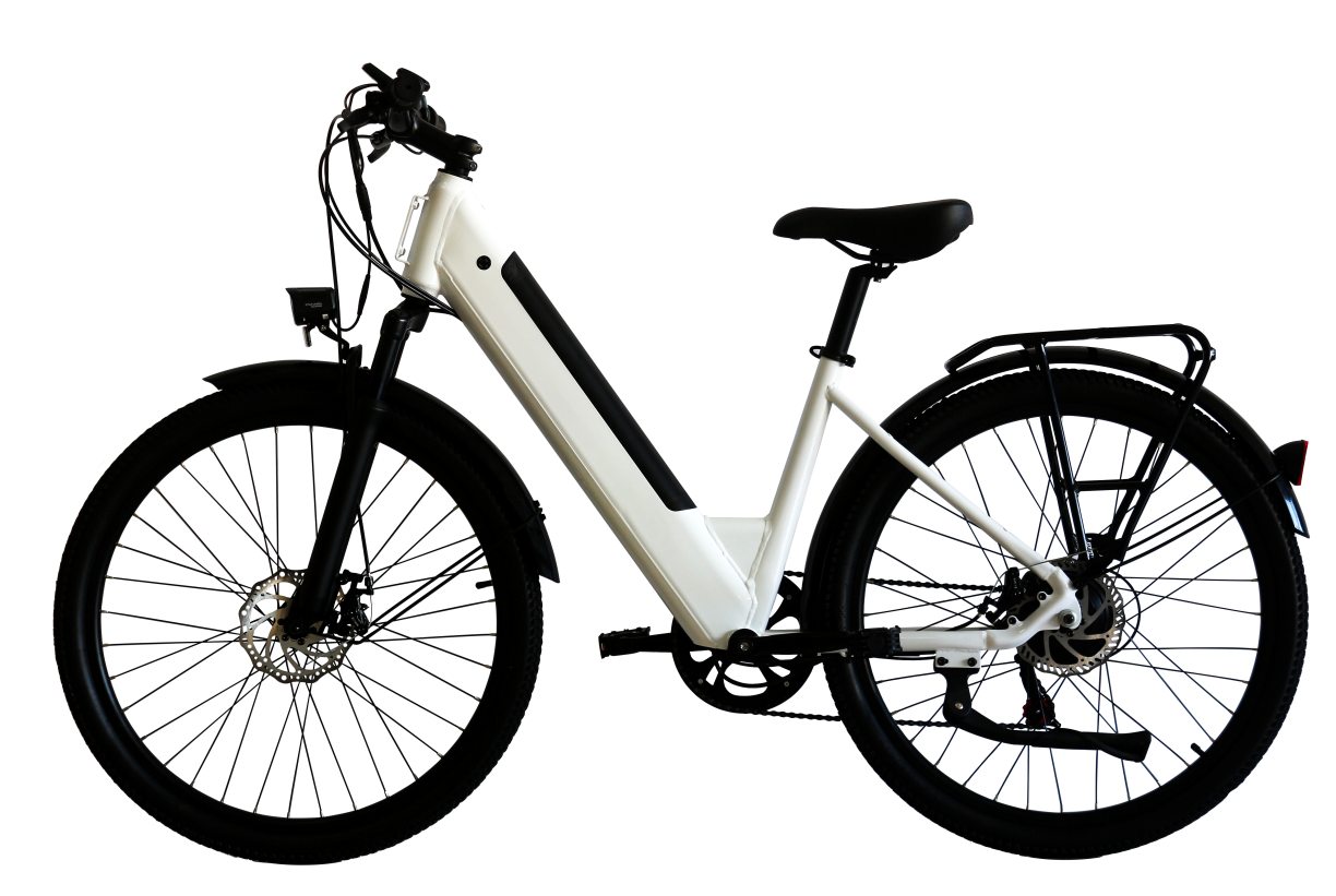 Multi-purpose City Electric Bike  